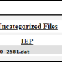 categorized_file.png